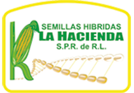 logo_semillas2